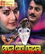 Beder Meye Josna 1991 movie poster