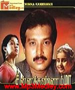 chinna-kannamma-1993 movie poster