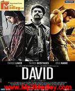 David 2013 movie poster