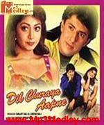 Dil Churaya Aapne 2001 movie poster