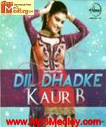 Dil Dhadke movie poster