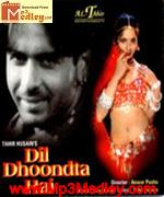 Dil Dhoondta Hai 2001 movie poster