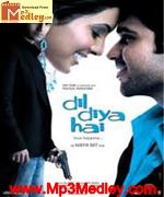 Dil Diya Hai 2006 movie poster