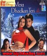 Dil Mera Dhadkan Teri 2002 movie poster