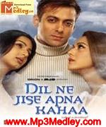 Dil Ne Jise Apna Kaha 2004 movie poster