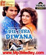 Dil Tera Deewana 1996 movie poster
