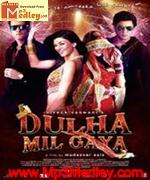 Dulha Mil Gaya 2010 movie poster