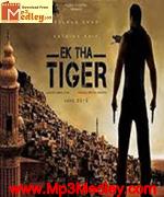 Ek Tha Tiger 2012 movie poster