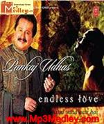 Endless Love 2006 movie poster