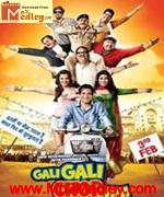 Gali Gali Chor Hai 2012 movie poster