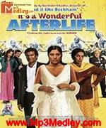 Its Aa Wonderful Afterlife 2010 movie poster