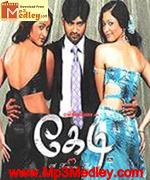 kedi-2006 movie poster
