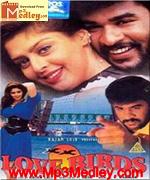 love-birds-1996 movie poster
