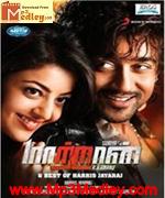 mattram-2010 movie poster