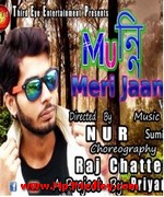 Munni Meri Jaan 2015 movie poster