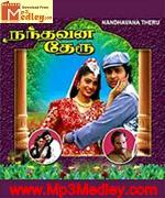 nanathavana-theru-1994 movie poster