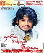 nane-enul-illai-2010 movie poster