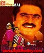 nattamai-1994 movie poster