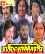 paalaivana-soolal-1981 movie poster