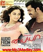 paiyaa-2009 movie poster