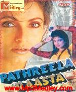 Pathreela Raasta 1995 movie poster