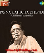 Pawana Kathacha Dhondi movie poster