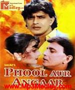 Phool Aur Angaar 1993 movie poster