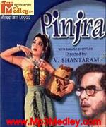 Pinjra 1972 movie poster