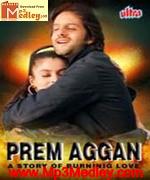 Prem Agan 1998 movie poster