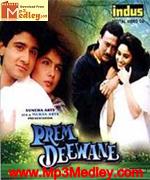 Prem Deewane 1992 movie poster
