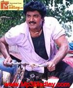 raja-pandy-1994 movie poster