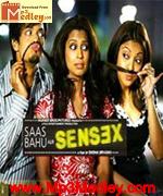 Saas Bahu Aur Sensex 2008 movie poster