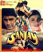 Sanjay 1995 movie poster