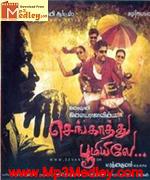 sengathu-bhoomile-2011 movie poster