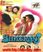 Shatranj 1993 movie poster