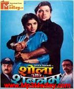 Shola Aur Shabnam 1992 movie poster