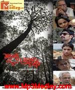 Shunyo Awnko 2013 movie poster