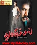 thunichal-2006 movie poster